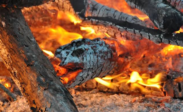 Mangsa Bocah, Ular Piton Sepanjang 8 Meter Dibakar Warga Muna