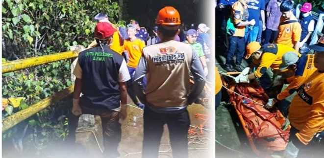 Gara - Gara Memanjat Batang Blue Bery Seorang Bapak Jatuh Kejurang