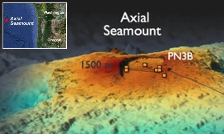 Bisa Picu Tsunami, Axial Seamount Diprediksi Meletus Sebelum Akhir 2025