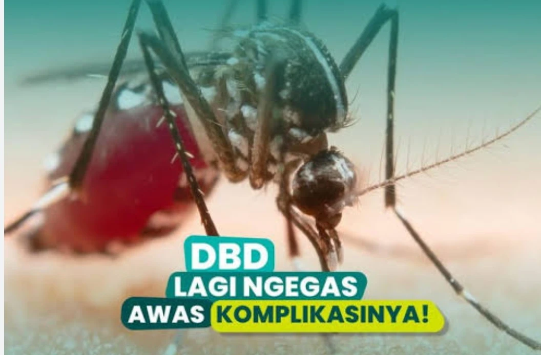 DPRD DKI Dukung Pemerintah provinsi DKI Membuka Layanan Vaksin DBD, Harga 1 Juta Untuk Dua Kali Suntik