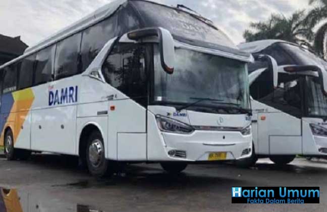 DAMRI Akan Melayani Rute Liwa-Kebun Tebu Mulai Per 1 Januari 2023
