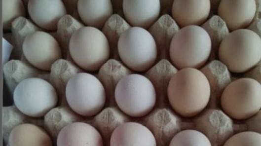 Pemprov DKI Subsidi Telur Jadi Rp 10.000/Kg