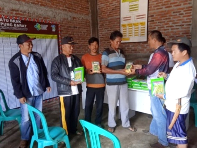 Alamsyah Menyerahkan Langsung Benih Padi Dan Bibit Cabe Unggulan