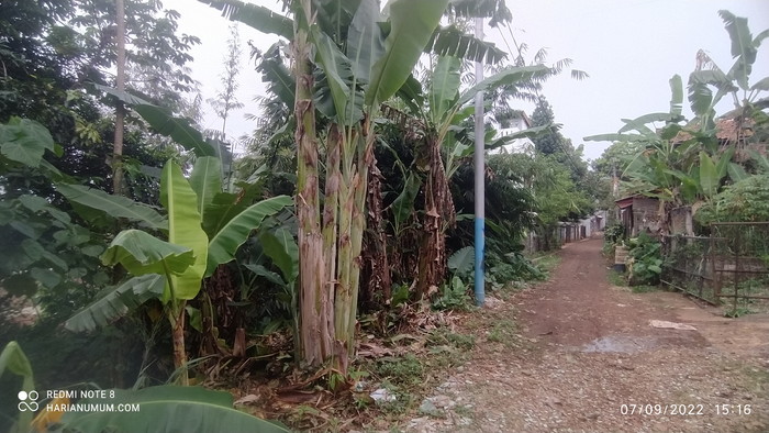 Ada Oknum Anggota Dewan, di Pembebasan Lahan Proyek Waduk Pondok Rangon 3