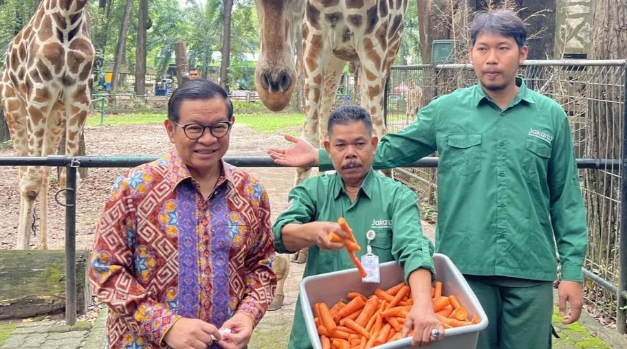 Tarif Masuk Ragunan Bakal Dinaikkan, Warga Jakarta Dapat Tarif Khusus