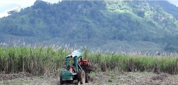 Asosiasi Gula Yogyakarta Mengeluh Masuknya Gula Import