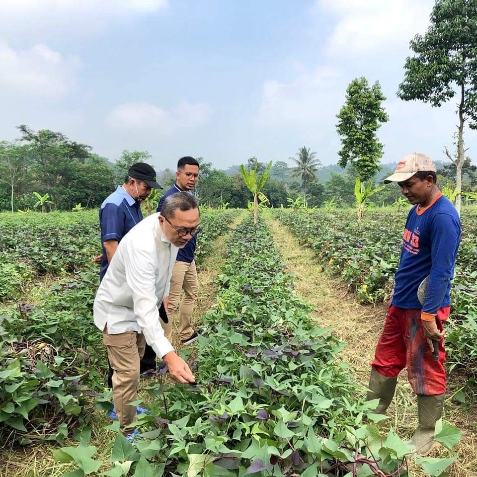 Ketum PAN Ingatkan Pentingnya Bertani Saat Pandemi