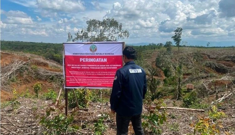Terkait Banjir Sumatera, Kemenhut Temukan Kerusakan Hulu 2 DAS di Tapanuli