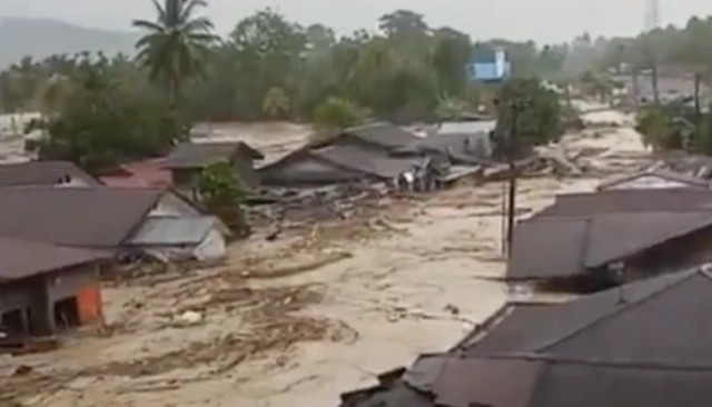 Walhi Sebut 7 Perusahaan Jadi Biang Keladi Bencana Ekologis di Tapanuli