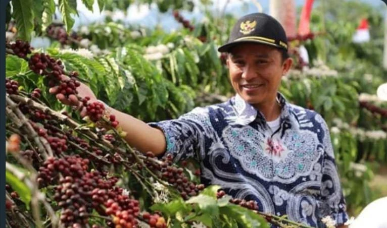 Harga Kopi Melonjak di Kabupaten Lampung Barat, Mendorong Waspada Terhadap Pencurian