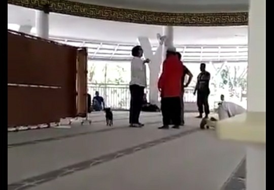 Viral Wanita Bawa Anjing di Masjid, Polisi Sebut Motifnya Ingin Cari Suaminya