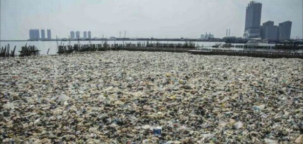 Teluk Jakarta Jadi Lautan Sampah, Ini Kata Walhi