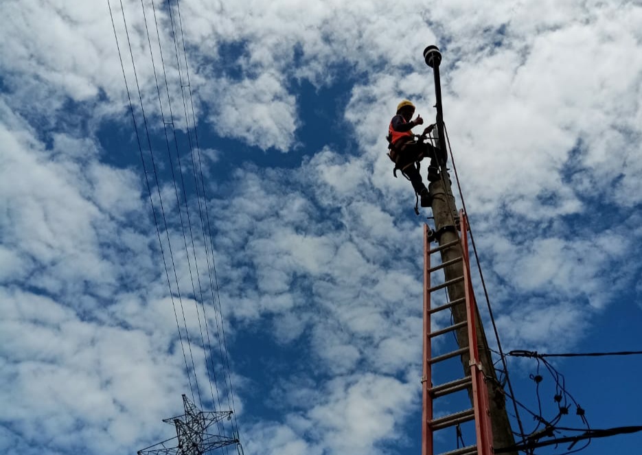 Hemat BBM, Tambak Udang Dipasena Untung 150 Juta Karena Pakai Listrik