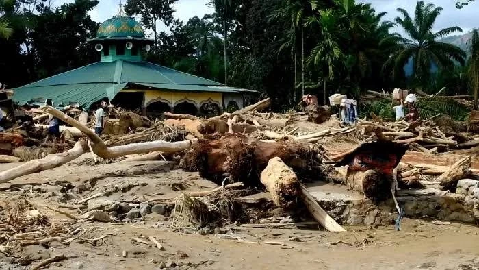 Penanganan Kayu-kayu Gelondongan di Tapanuli Selatan Naik ke Penyidikan