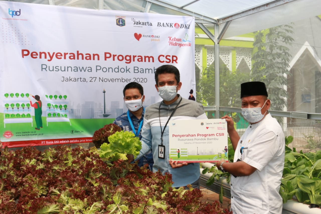Usaha Hidroponik Bisa Hidupi Warga Rusun Jakarta